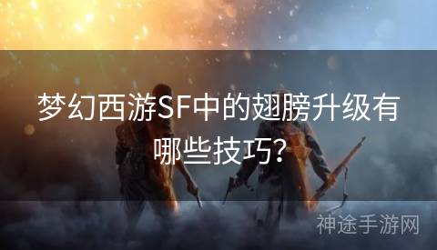 梦幻西游SF中的翅膀升级有哪些技巧？