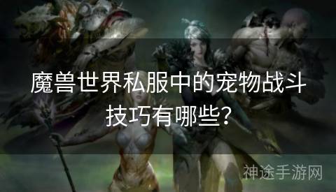 魔兽世界私服中的宠物战斗技巧有哪些？