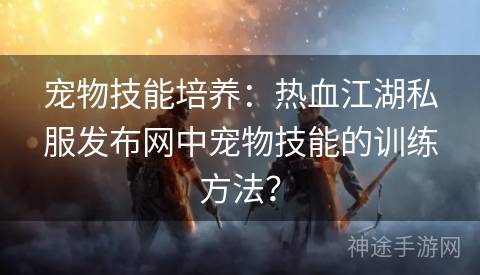 宠物技能培养：热血江湖私服发布网中宠物技能的训练方法？