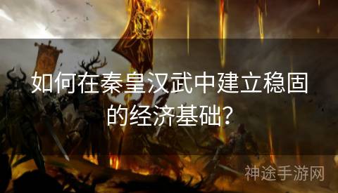 如何在秦皇汉武中建立稳固的经济基础？