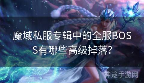 魔域私服专辑中的全服BOSS有哪些高级掉落？