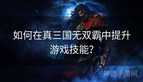 如何在真三国无双霸中提升游戏技能？