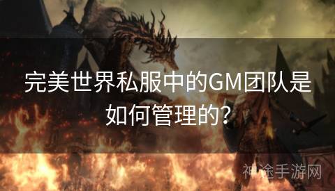 完美世界私服中的GM团队是如何管理的？