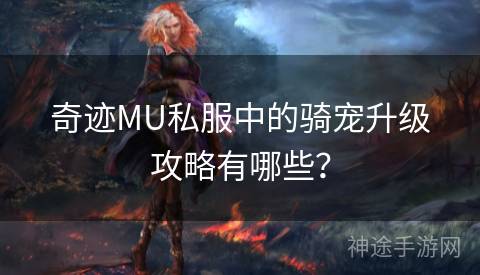 奇迹MU私服中的骑宠升级攻略有哪些？