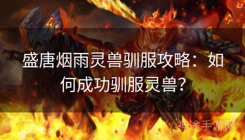 盛唐烟雨灵兽驯服攻略：如何成功驯服灵兽？