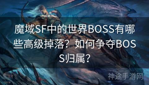 魔域SF中的世界BOSS有哪些高级掉落？如何争夺BOSS归属？