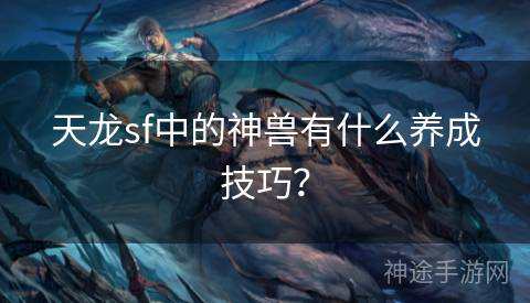 天龙sf中的神兽有什么养成技巧？