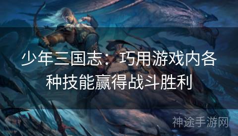 少年三国志：巧用游戏内各种技能赢得战斗胜利