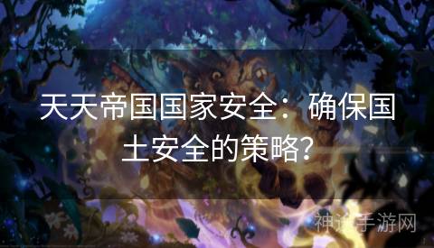 天天帝国国家安全：确保国土安全的策略？