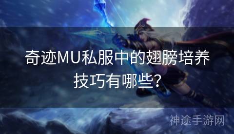 奇迹MU私服中的翅膀培养技巧有哪些？