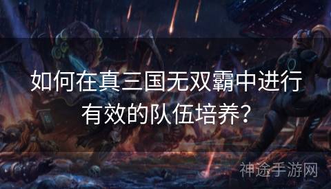 如何在真三国无双霸中进行有效的队伍培养？