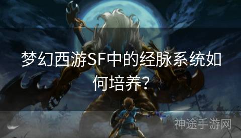 梦幻西游SF中的经脉系统如何培养？