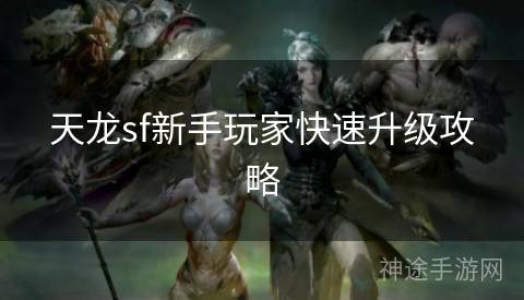 天龙sf新手玩家快速升级攻略