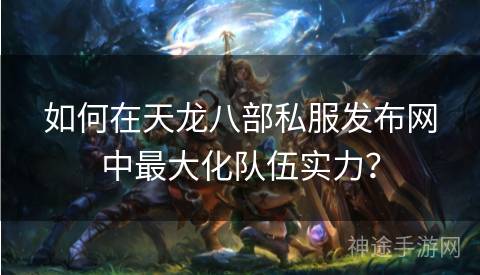 如何在天龙八部私服发布网中最大化队伍实力？